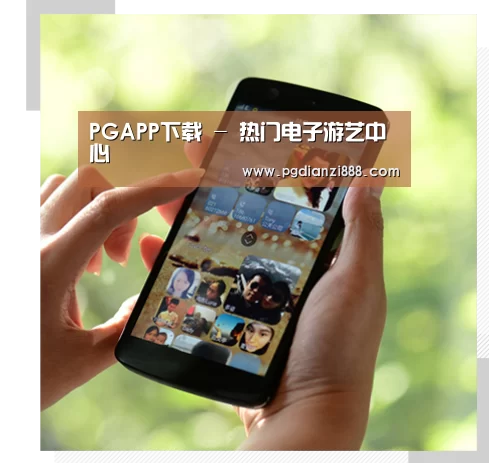 关于PGAPP下载