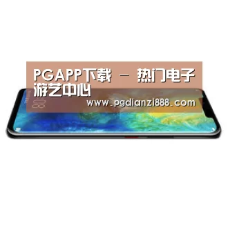 华为无线快充手机