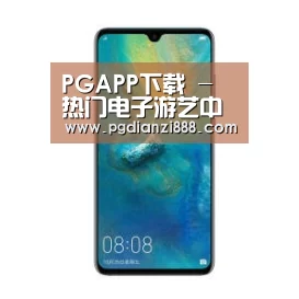 华为无线快充手机