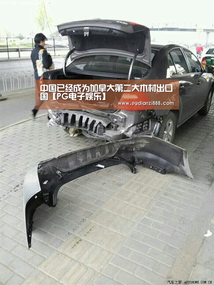 PG电子娱乐中心