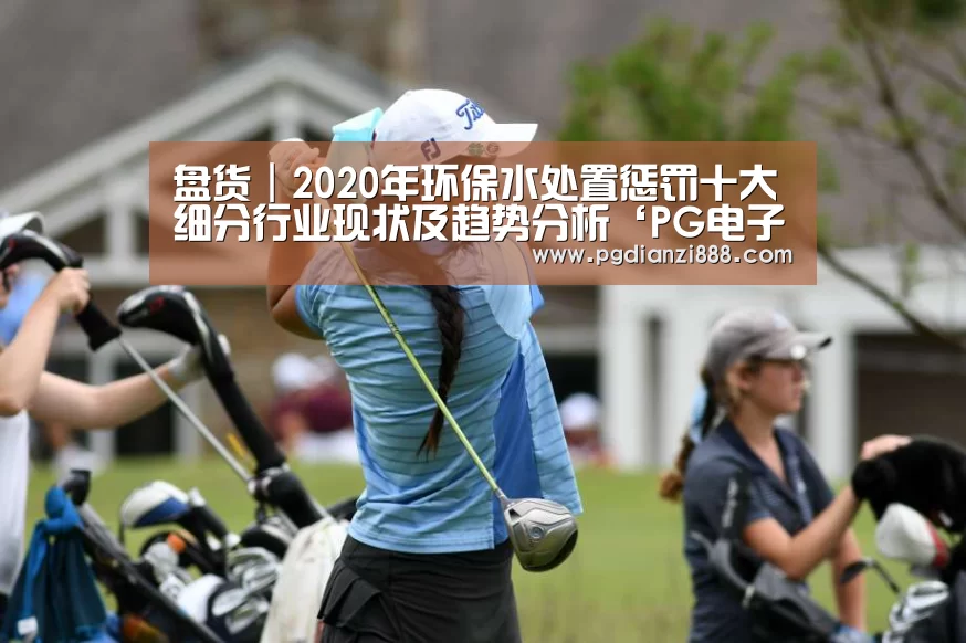 盘货|2020年环保水处置惩罚十大细分行业现状及趋势分析‘PG电子官方网站’(图1) PG电子官方网站