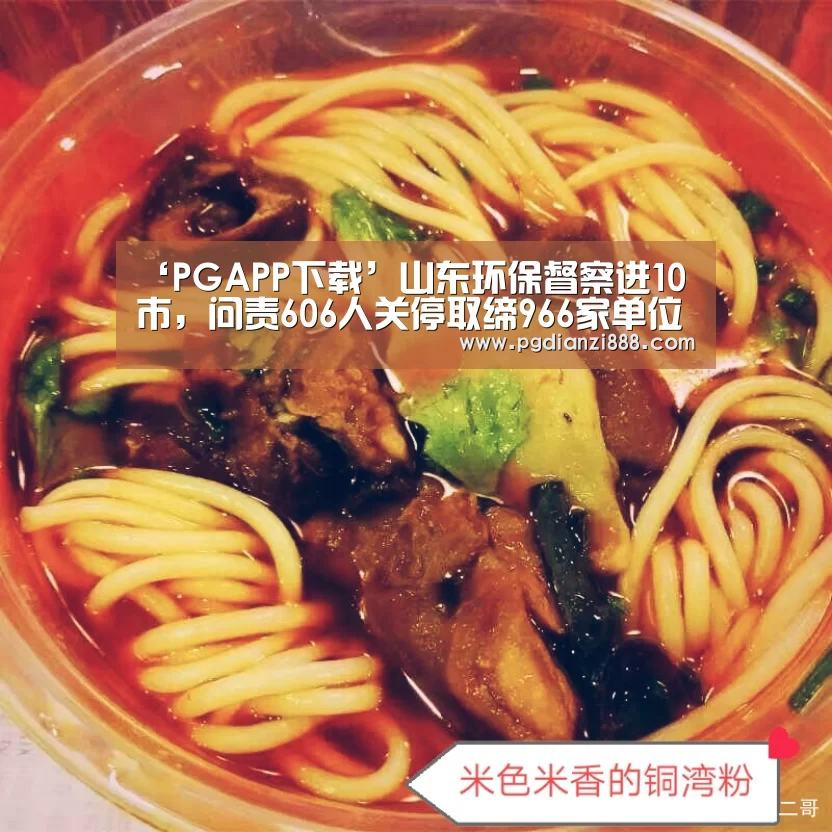 ‘PGAPP下载’山东环保督察进10市,问责606人关停取缔966家单位(图2) PGAPP下载