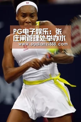 PGAPP下载