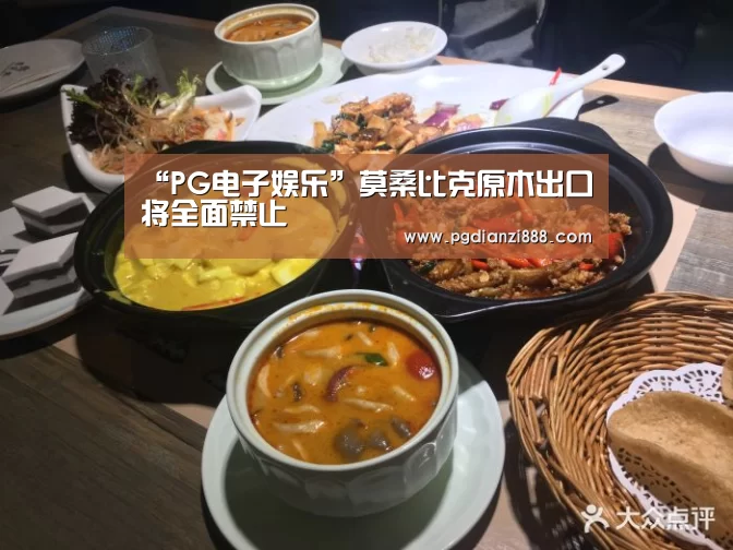 “PG电子娱乐”莫桑比克原木出口将全面禁止(图1) PG电子官方网站