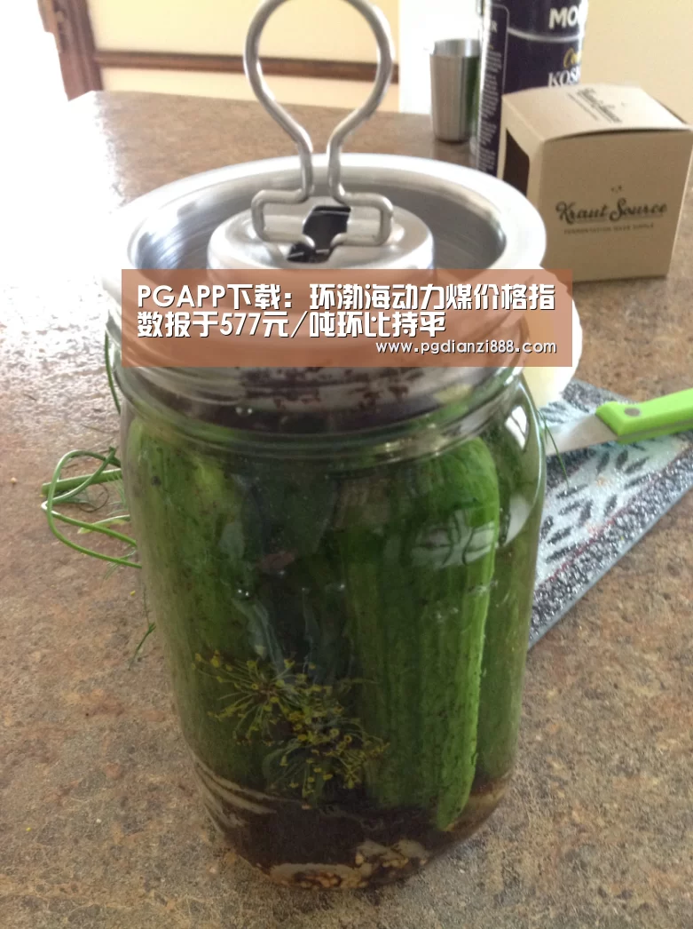 PGAPP下载:环渤海动力煤价格指数报于577元/吨环比持平(图2) PG电子娱乐