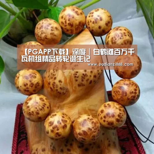 【PGAPP下载】深度|白鹤滩百万千瓦机组精品转轮诞生记(图1) PGAPP下载