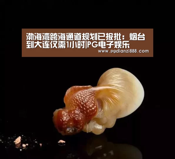 渤海湾跨海通道规划已报批:烟台到大连仅需1小时|PG电子娱乐(图1) PG电子官方网站