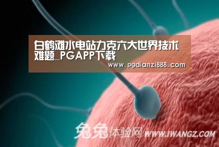 白鹤滩水电站力克六大世界技术难题_PGAPP下载(图1) PGAPP下载