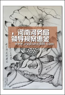 ,河南河务局领导视察惠金局防汛工作【PG电子官方网站】(图1) PG电子官方网站