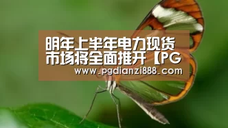 PG电子娱乐中心